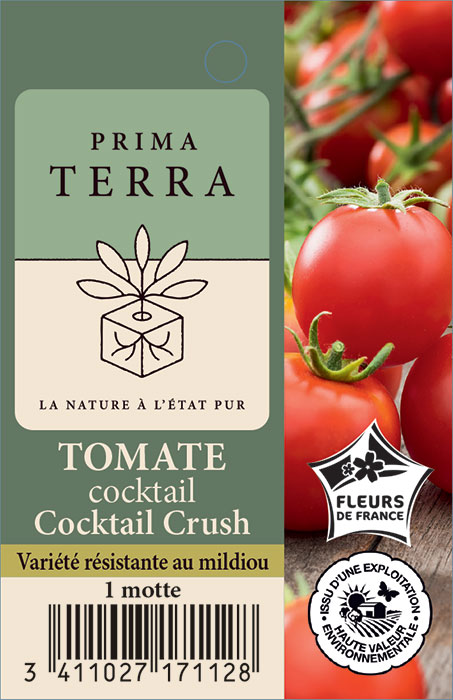 Tomate Cocktail Crush