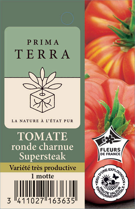 Tomate ronde charnue Supersteak