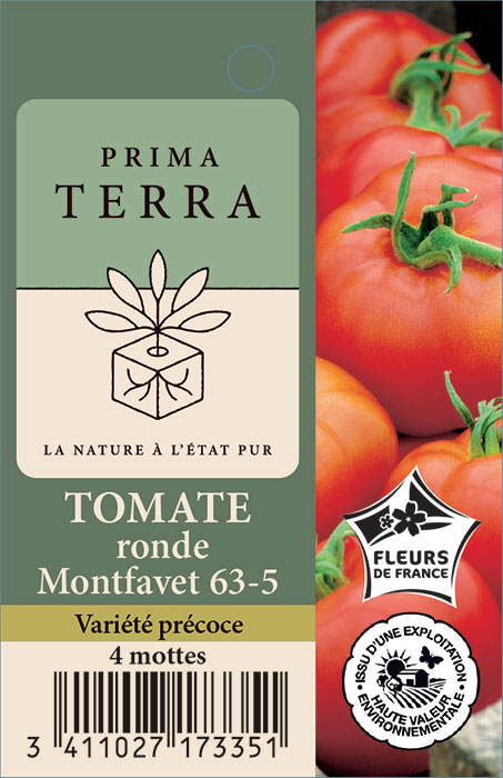Tomate ronde Montfavet 63-5