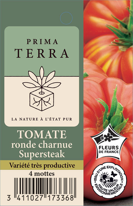 Tomate ronde charnue Supersteak