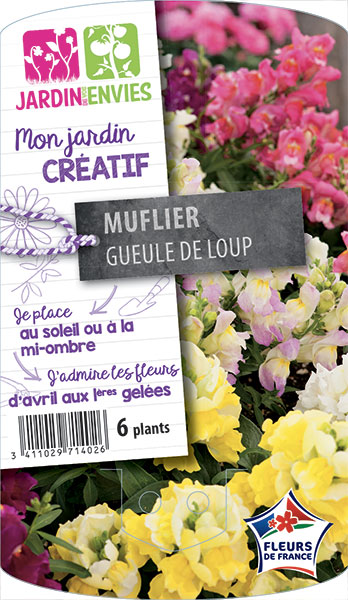 Muflier Gueule de Loup