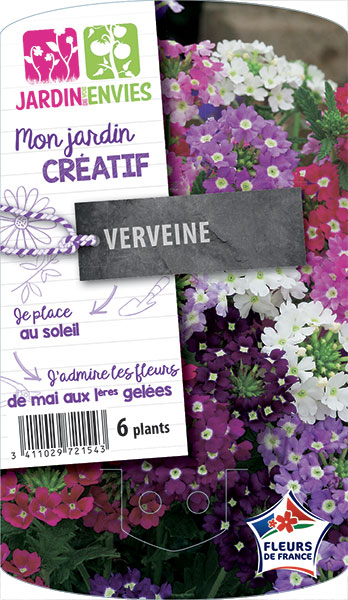 Verveine