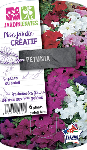 Pétunia