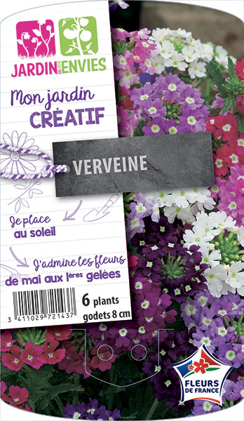 Verveine