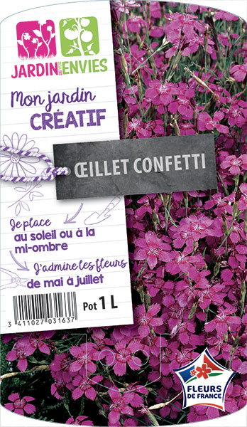 Œillet confetti