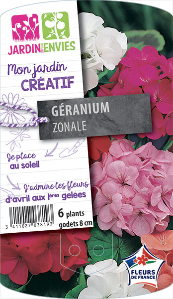 GERANIUM ZONALE