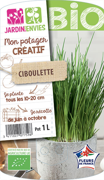 Ciboulette