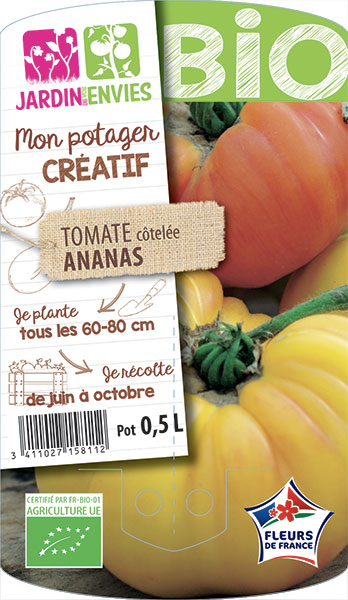 Tomate côtelée Ananas