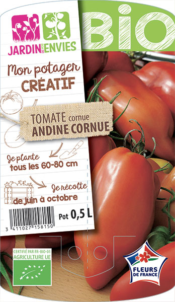 Tomate cornue Andine Cornue