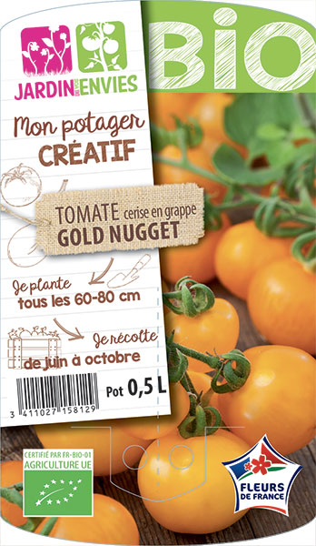 Tomate cerise en grappe Gold Nugget