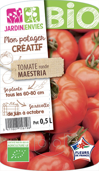 Tomate ronde Maestria