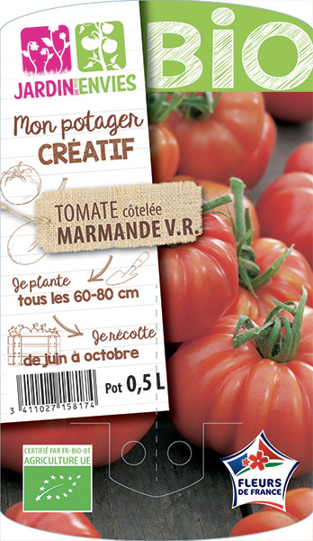 Tomate côtelée Marmande V.R.