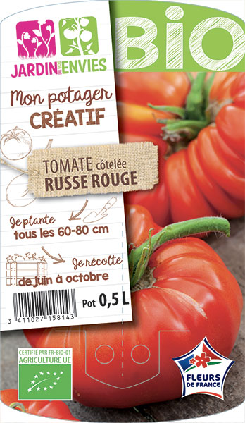 Tomate côtelée Russe Rouge