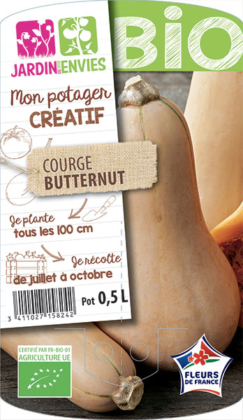 Courge butternut