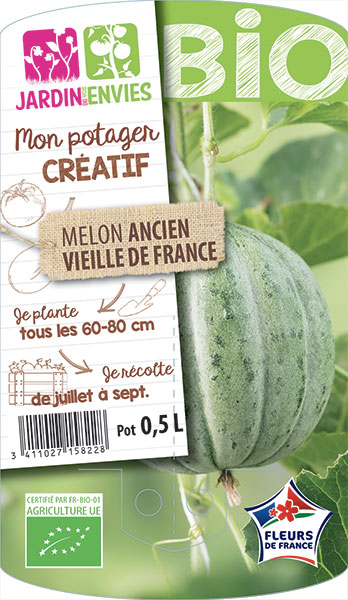 Melon Ancien Vieille de France