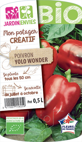 Poivron Yolo Wonder