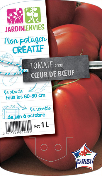 Tomate cœur Cœur de Bœuf