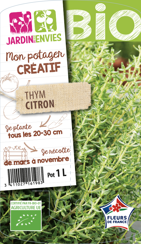 Thym citron
