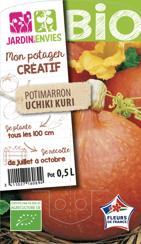 Potimarron Uchiki Kuri