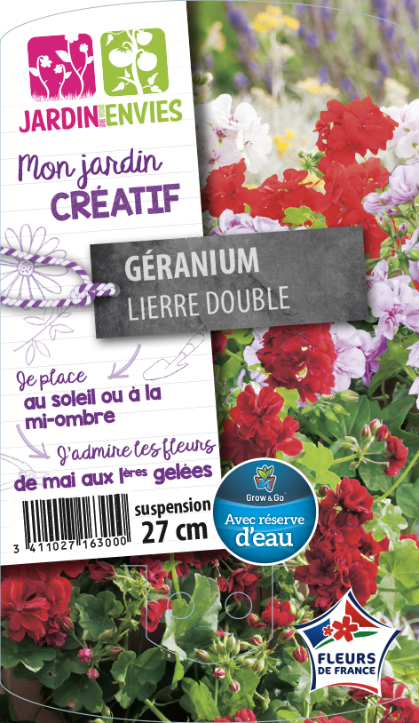Géranium Lierre Double