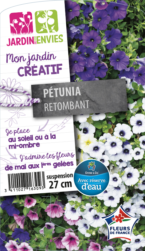 Pétunia retombant