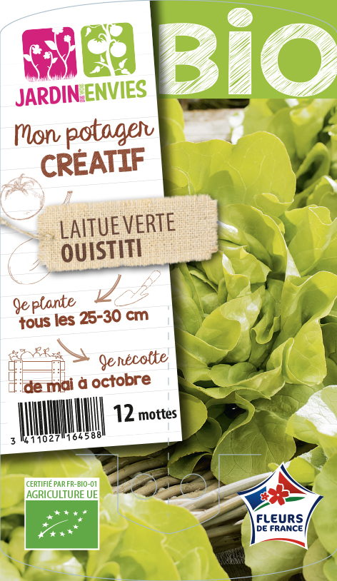 Laitue verte Ouistiti