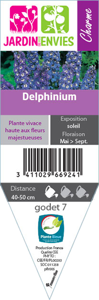 DELPHINIUM