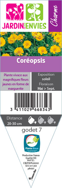 COREOPSIS
